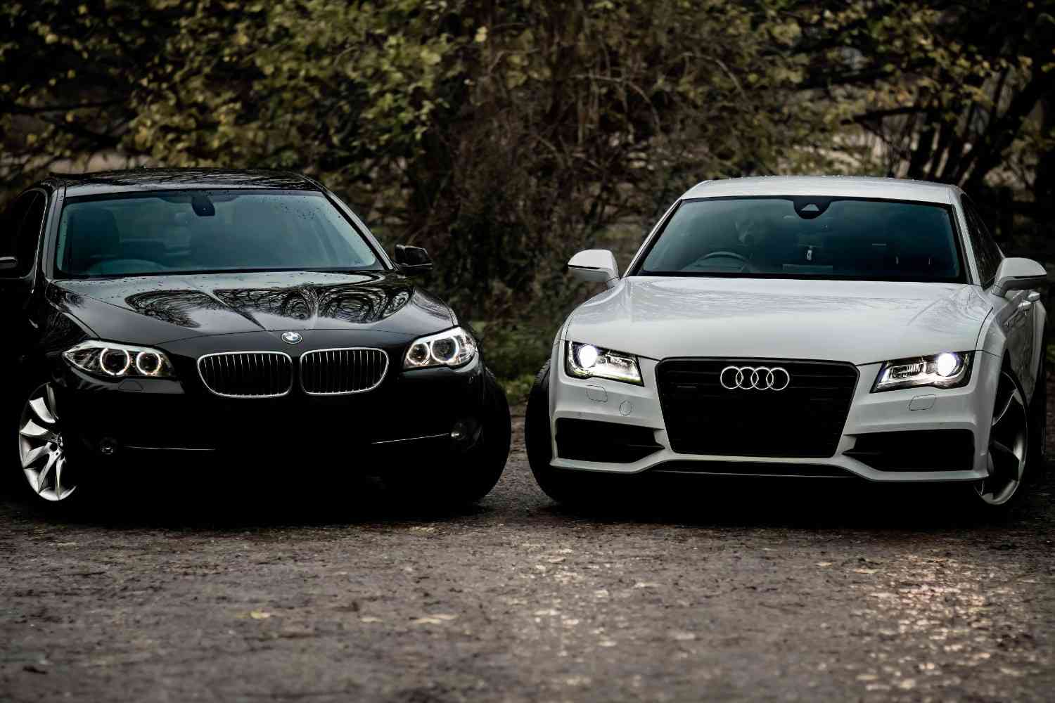[Placeholder image representing top auto insurance provider comparisons]